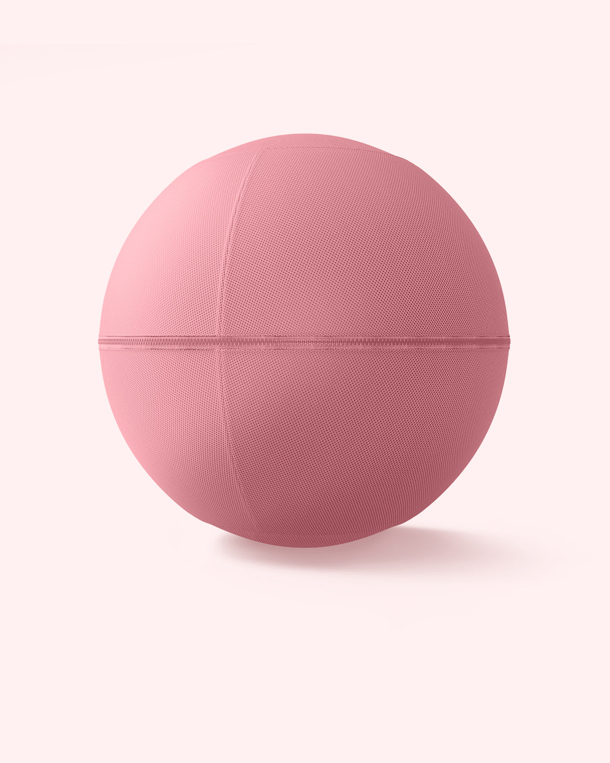 Bala Balance Ball - Image 3